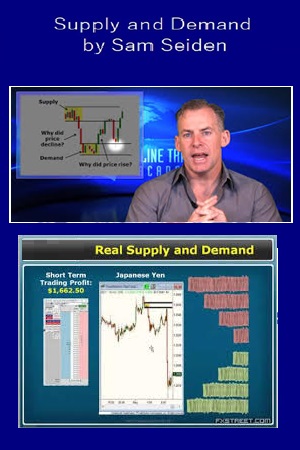 Supply And Demand Trading Course By Sam Seiden